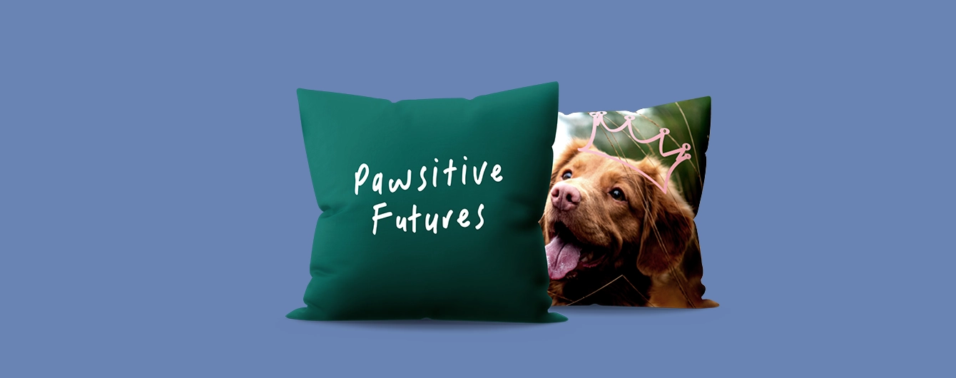 Cushions