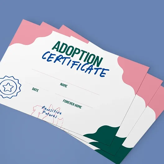 Certificate paper sales