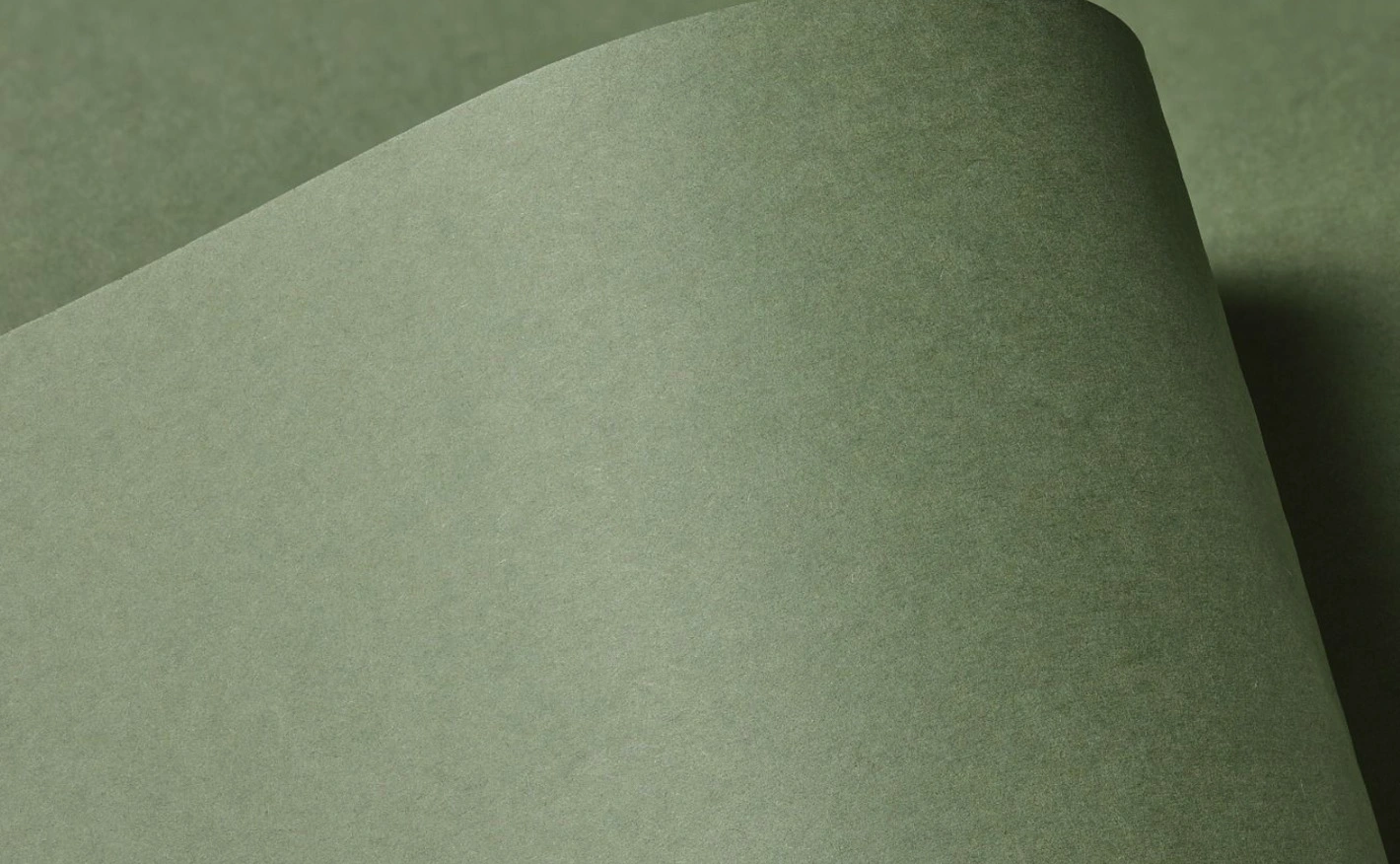 Close-up of Colourplan Mid Green paper with a gentle curl; the matte surface reveals subtle texture and soft shadows, showcasing the rich green tone and premium uncoated finish