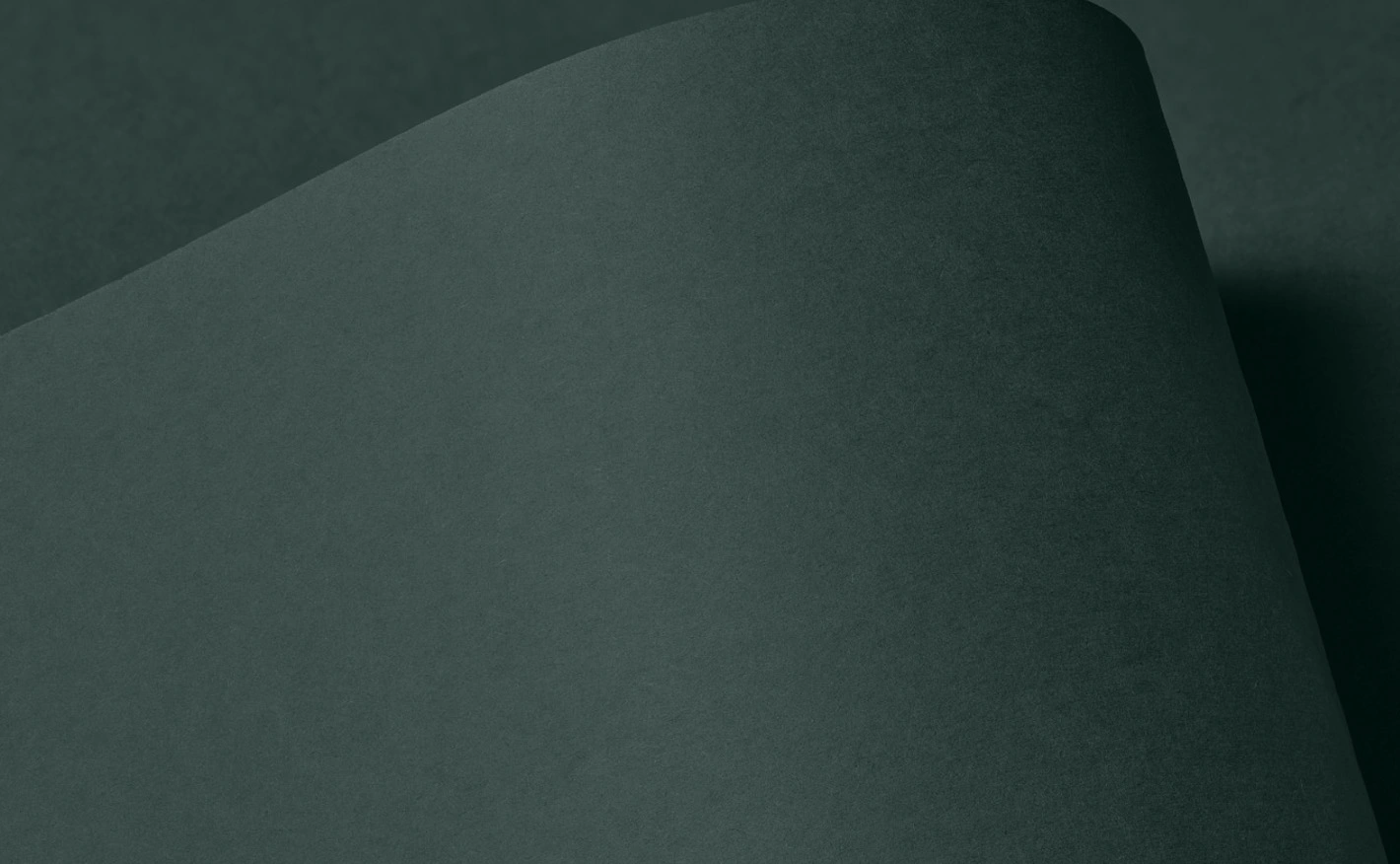 Close-up of Colourplan Mid Green paper with a soft curl; the deep green surface has a subtle, uncoated texture, and the lighting creates gentle shadows that emphasize the material’s premium finish and sculptural form