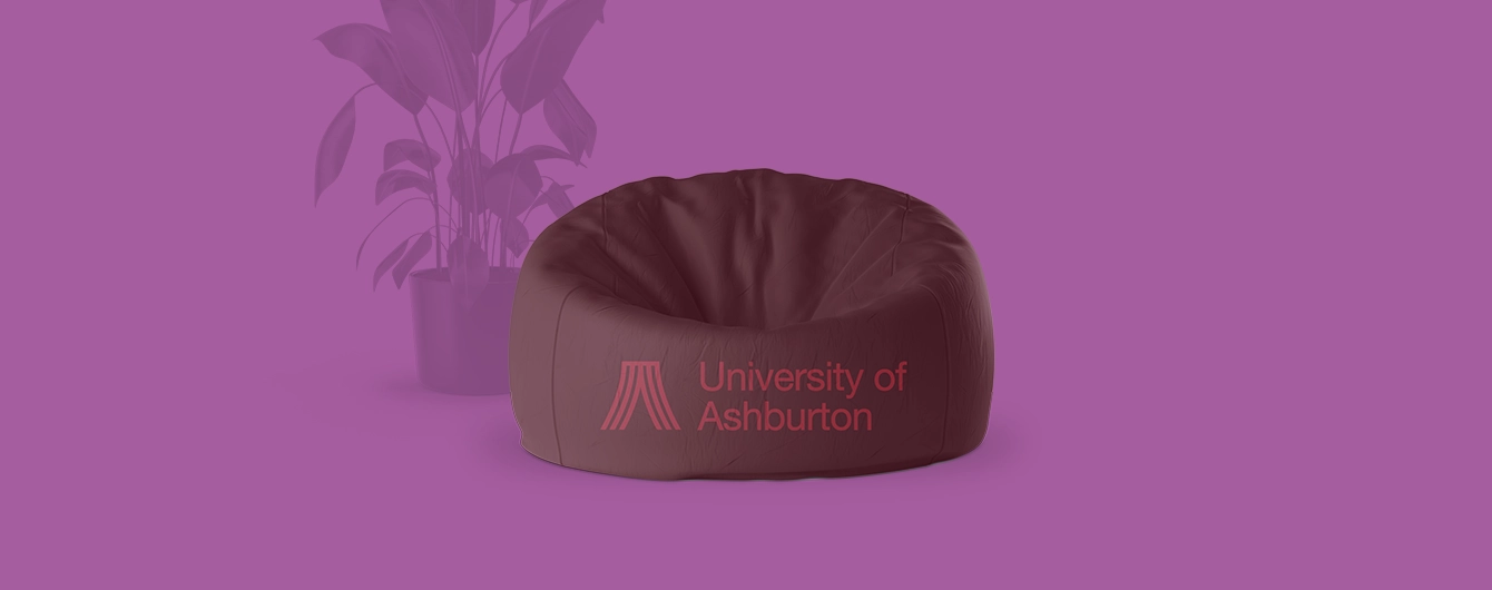 Maroon bean bag with university branding against a purple backdrop with a leafy plant behind.