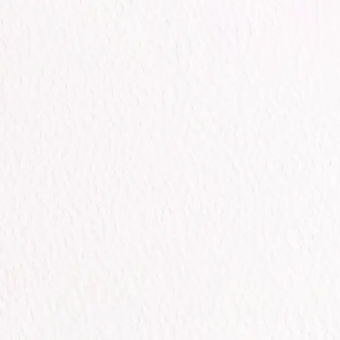 Fresco Gesso