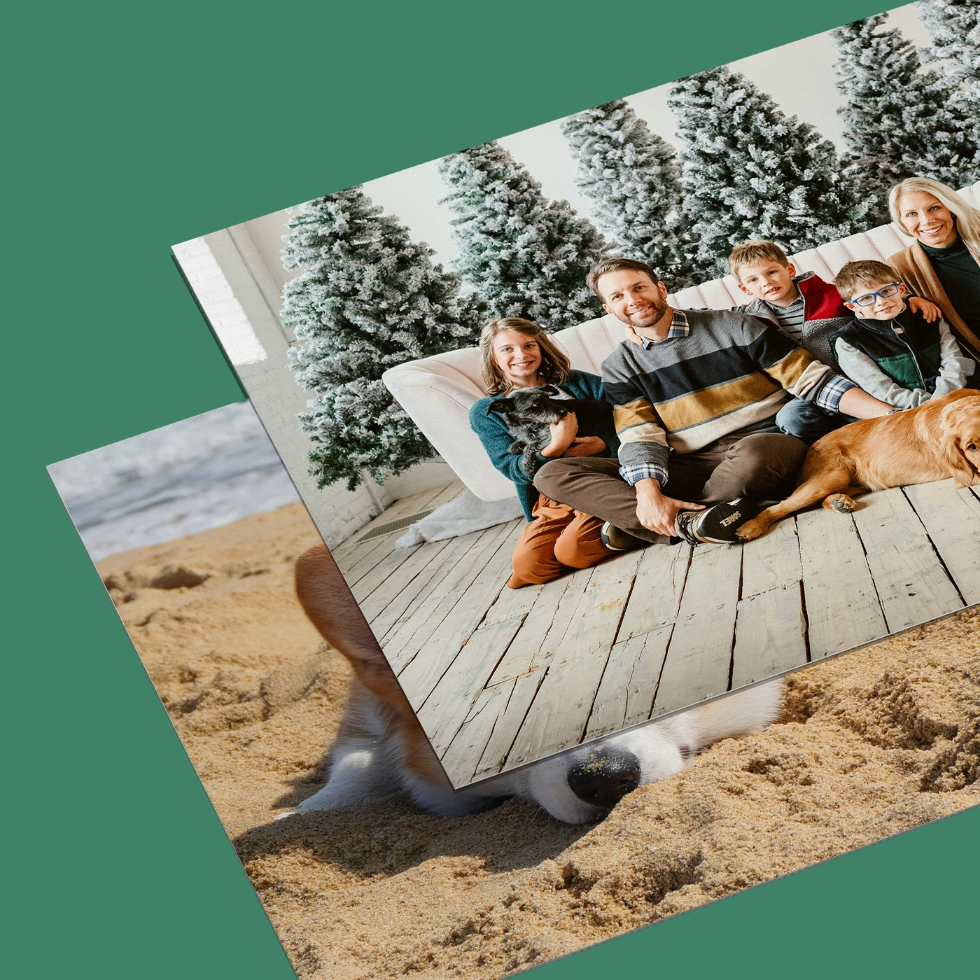 Family portrait and pet Photography Prints.