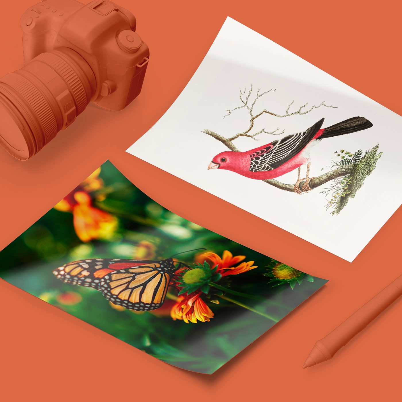 Photography Prints at Printed.com