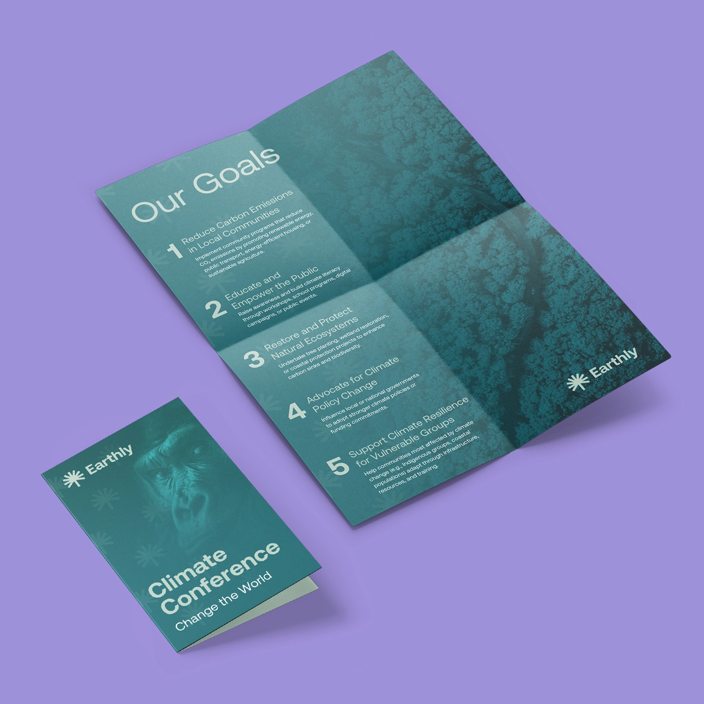 Cross fold Leaflet for a climate conference.
