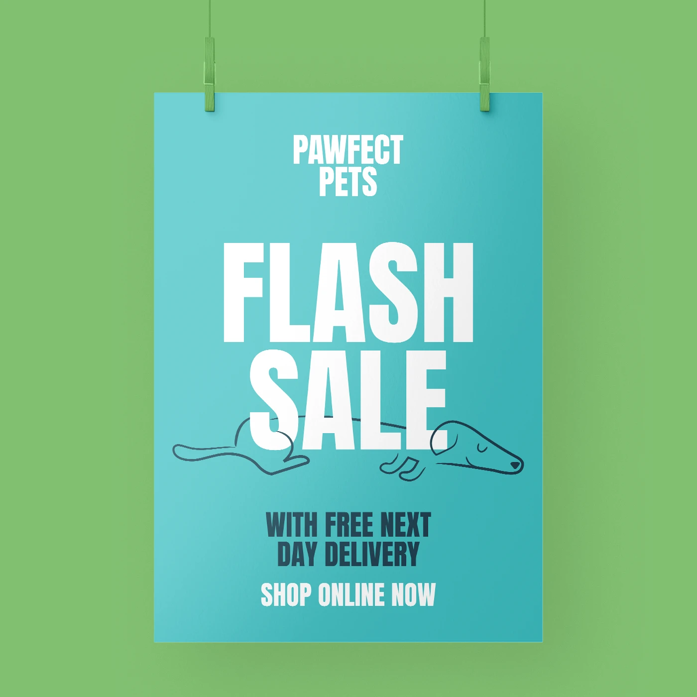 "Flash Sale" Next Day Poster printing.