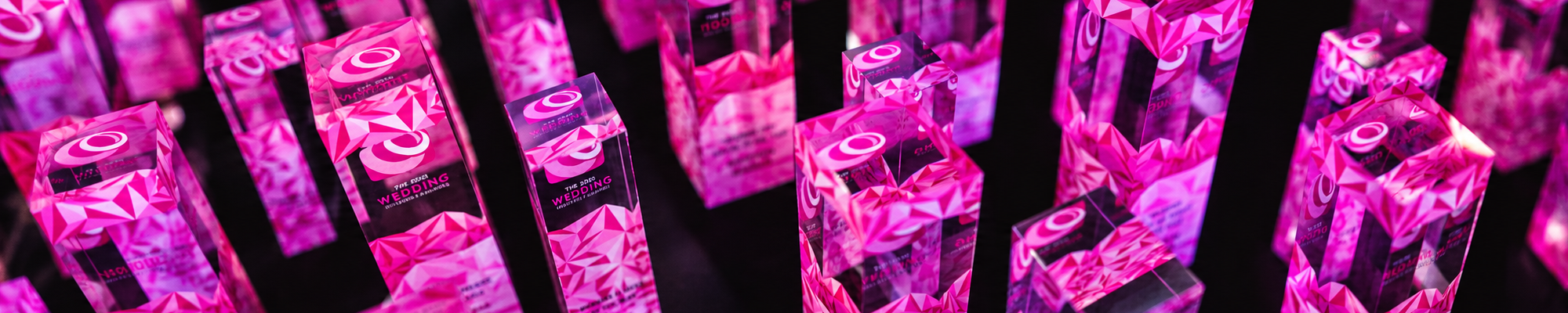 TWIA Header