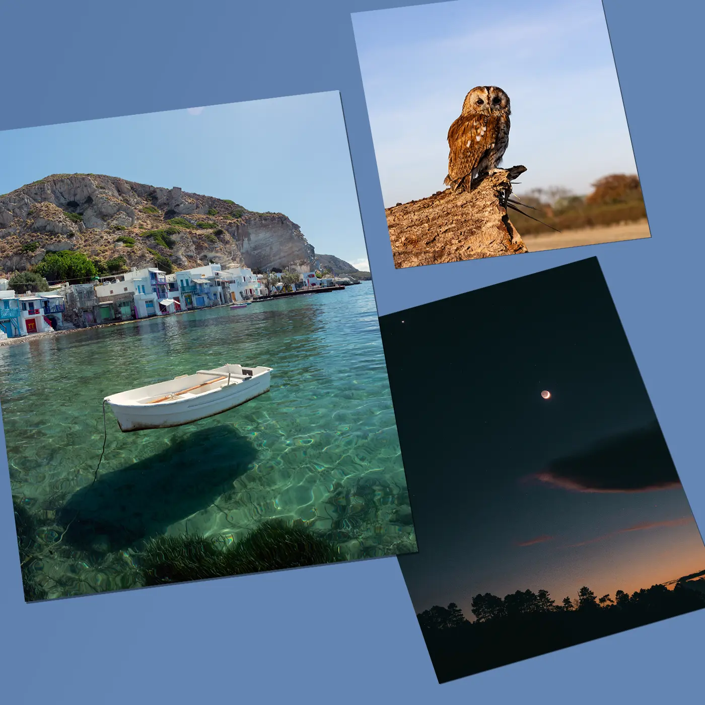 Collection of Photography Prints featuring a coastal landscape, wildlife portrait and night sky scene, showcasing vibrant colour and image detail.
